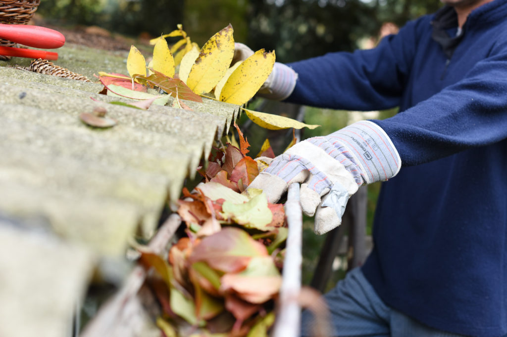 photo of a person cleaning leaves from their gutters